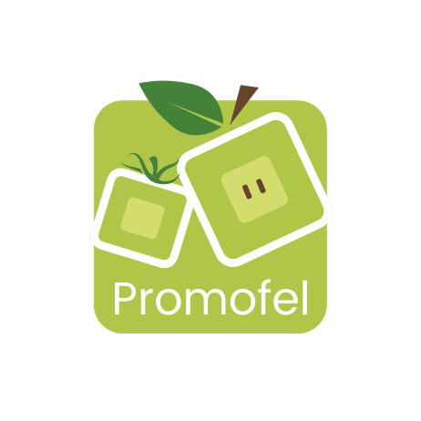 Logo promofel